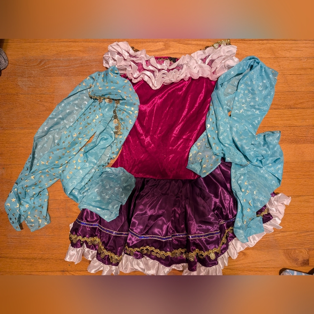 Gypsy Halloween costume size medium